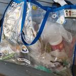 "We did go out but, unfortunately, well, maybe not unfortunately, didn't find any buffelgrass. But we did pick up trash - three pounds worth." - Kathy B,