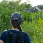 walking-through-the-green