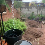 "...and future water harvesting tank site." - Peggy M.