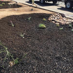 Watershed Management Group Phoenix Green Infrastructure Training at the Flood Control District Office March 2016