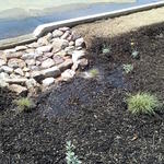 Watershed Management Group Phoenix Green Infrastructure Training at the Flood Control District Office March 2016