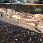 Watershed Management Group Phoenix Green Infrastructure Training at the Flood Control District Office March 2016