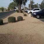 Watershed Management Group Phoenix Green Infrastructure Training at the Flood Control District Office March 2016