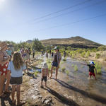 The Santa Cruz flows! Photo by Nicci Radhe