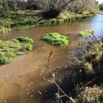 Santa Cruz at Trico Rd, photo of flow