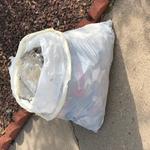 "By and large a lot of 50ml liquor bottles, cigarette butts, and plastic car parts." - Justin P.