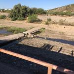 Venom’s (Tucson's womxns club ultimate frisbee team) before photo at the Santa Cruz River Downtown.