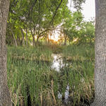 Watershed Management Group Tanque Verde Flow and Feast event April 2016