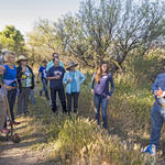 Watershed Management Group Tanque Verde Flow and Feast event April 2016