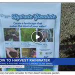 Screenshot of TV story by AZ Family in Phoenix.