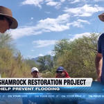 KGUN 9's story on WMG's river restoration work with Pima County.