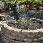 Photo by Ron Medvescek/AZ Daily Star.