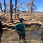 Beaver survey by WMG along the San Pedro River