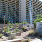 Blue Moon Community Garden