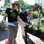 Person choosing grass through Build Your Own Basin