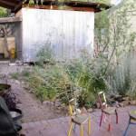 Mead Meir basin in her side yard