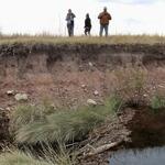 Beaver survey group looks over a bank at the San Pedro River.