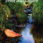 Photo by Julius Schlosburg