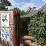 The entrance to Cultural Ecologist Joaquin Murrieta's backyard. 