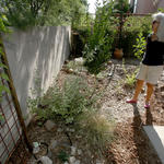 Kathy Marron hosting on WMG's Homescape Harvest Tour.