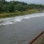 Santa Cruz River near Speedway and Interstate 10. (KOLD News 13)