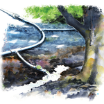 Illustration of a Laundry-To-Landscape greywater system in action.