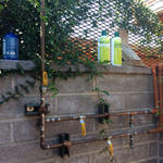 An outdoor, solar heated shower is popular with WMG employees who bicycle to work. Water can easily be directed to nearby plants and trees.