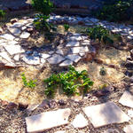 The homeowners here filled in an old pool and made an attractive garden out of it. Rainwater is stored nearby and used for irrigation.