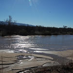 Sabino Creek