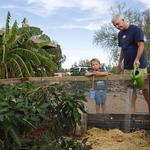 Mencke, with his 3-year-old son, Reef, defrayed the cost of his collection system with a $2,000 rebate from Tucson Water.