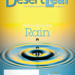 The Desert Leaf, June 2016 - Harvesting the Rain