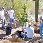 Tree planting demo.