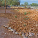 Continental Elementary School water harvesting project