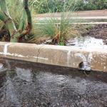 Curb core in action!