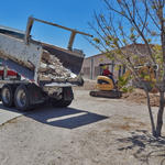 Drachman School water harvesting project