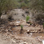 Earthworks basins effectively catch rainwater at the base of a branched drain.