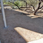 Esperero Canyon Middle School water harvesting project