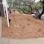 Esperero Canyon Middle School water harvesting project