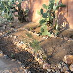 Project site post-makeover