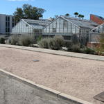 Fremont street curb before cut