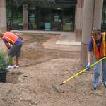FedEx volunteers shaping the basins