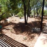 Hermosa Montessori School water harvesting project - courtyard after