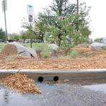 Mitchell Park project site after