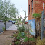 Completed project site