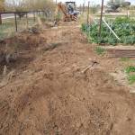 Clearing the project site