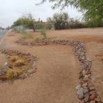 Completed rain garden project