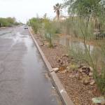 Post monsoon site visit