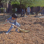 Sierra Middle School water harvesting project