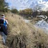 Mexico beaver survey along the San Pedro River