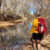 A volunteer surveys for evidence of beaver along the lower San Pedro River in December 2024